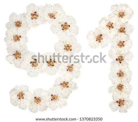 Numeral 91, ninety one, from natural white flowers of apricot tree, isolated on white background
