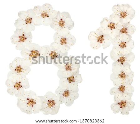 Numeral 81, eighty one, from natural white flowers of apricot tree, isolated on white background