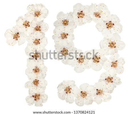 Numeral 19, nineteen, from natural white flowers of apricot tree, isolated on white background