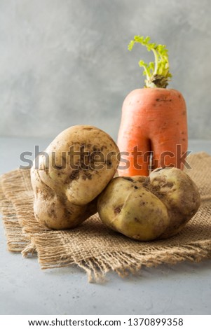 Ugly organic abnormal carrot and potatoes. Space for text. Concept organic vegetables.
