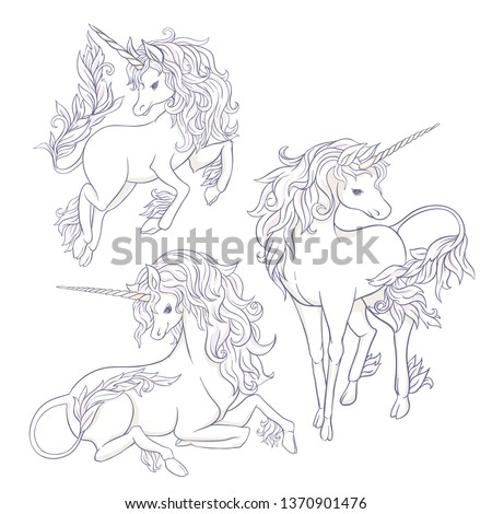 Set of three  unicorns isolated on white  background. Vector illustration. Outline drawing. 