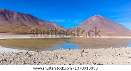 Plato Altiplano highlands, Andes, Bolivia.