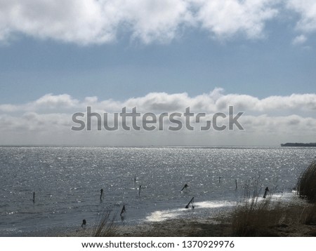 The great Coastline from Rügen