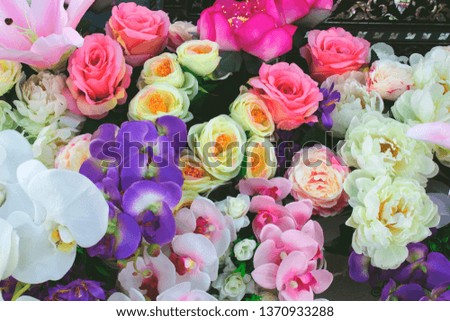 Flower Colorful background pictures