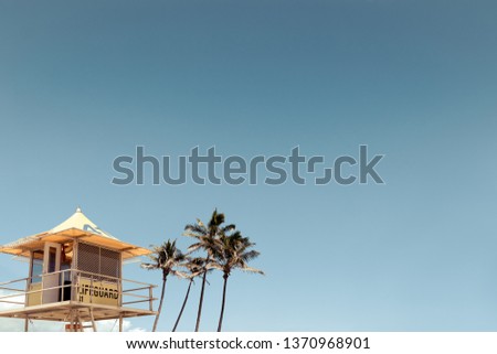 lifeguard tower and palm tree with vintage style and copy space