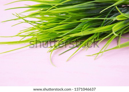 Green grass on a wooden pink table background