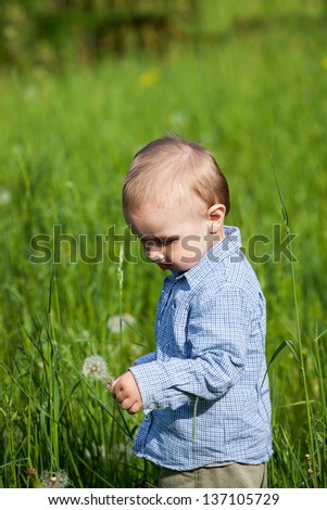 boy picked dandelions