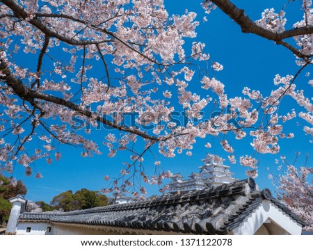 Landscape of Himeji Castle in spring.