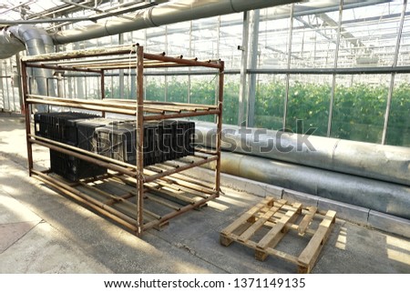 Large spacious light corridor in the greenhouse, made of glass and metal partitions, with communications and concrete floor and folded wooden pallets
