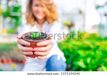 Greenhouse flower seedlings. The young woman's hand holding a flower pot. Smiling attractive young female employee at a flower nursery holding a potted plant for sale in her hands