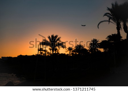 Backlit photograph of palm trees, plane at sunset, with a blue sky and clouds in the background