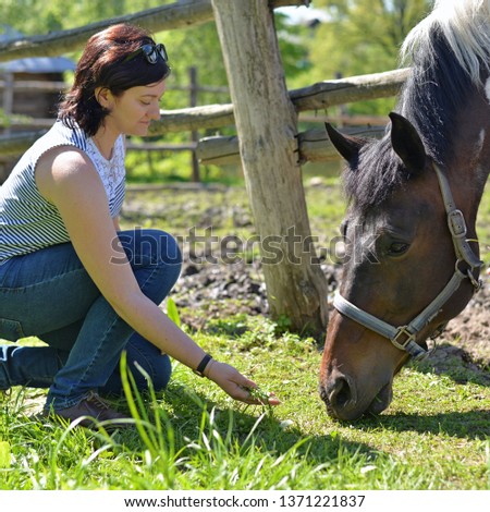 A young girl in a striped T-shirt feeds a horse on a farm