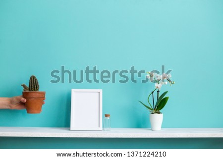 Modern room decoration with Picture frame mockup. White shelf against pastel turquoise wall with potted orchid and hand putting down cactus plant.