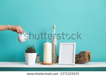 Modern room decoration with Picture frame mockup. White shelf against pastel turquoise wall with Candle and rocks in bottle. Hand watering potted succulent plant