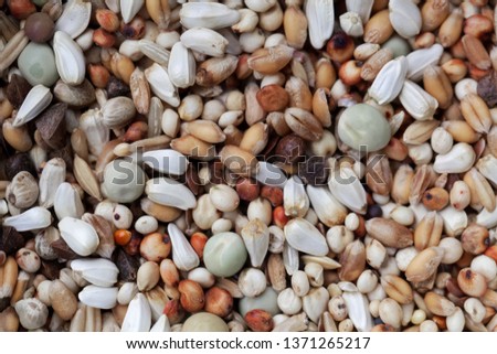 Macro photo of a mixture of grains and seeds. 