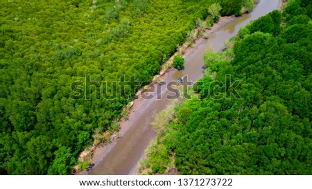 Aerial view of mangrove forest in Rayong province, Thailand. Aerial view from drone.