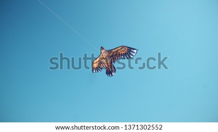 angle view of a colorful kite eagle flying with waving in a deep blue sky with the light of the sun