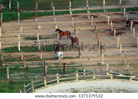aerial view of a riding school with horse breeding