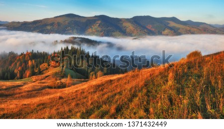 autumn morning. foggy sunrise in the Carpathian mountains. picturesque morning
