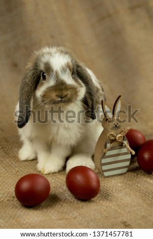 Easter bunny rabbit with painted eggs