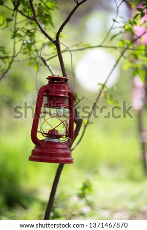 Red lantern hanging in the brunch Royalty-Free Stock Photo #1371467870