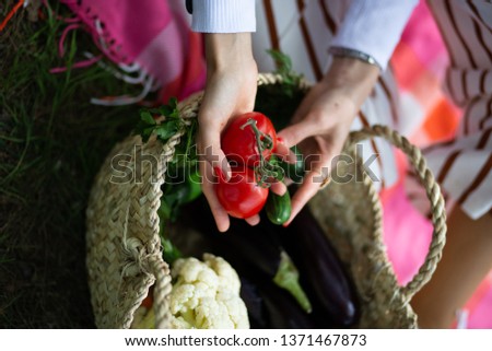 woman hands hold tomatoes and cucumber in the garden Royalty-Free Stock Photo #1371467873