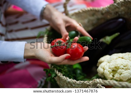 woman hands hold tomatoes and cucumber with basket of Cauliflower and aubergine in the garden Royalty-Free Stock Photo #1371467876