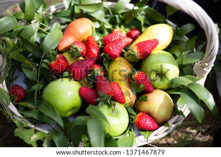 Basket of  fruits (apple and strawberry) in the garden Royalty-Free Stock Photo #1371467879