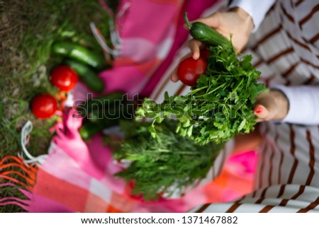 woman hands hold parsley, tomatoes and cucumber in the garden Royalty-Free Stock Photo #1371467882