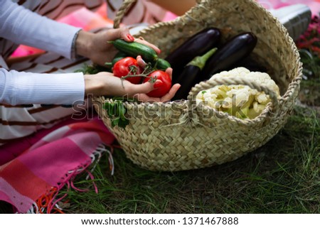 woman hands hold tomatoes and cucumber with basket of Cauliflower and aubergine in the garden Royalty-Free Stock Photo #1371467888