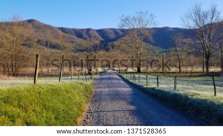 Country Road and Fence 1
