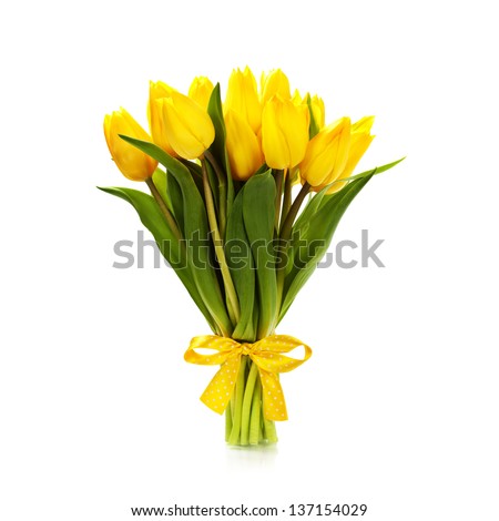 Beautiful yellow tulips over white Royalty-Free Stock Photo #137154029