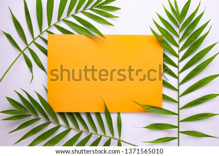 Tropical palm leaves pattern on orange background.  Flat lay, top view.