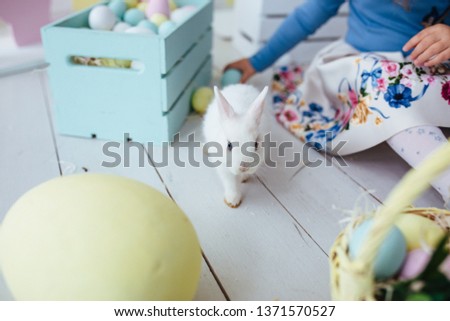 Little Bunny In Basket With Decorated Eggs