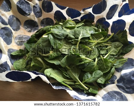 open beeswax food wrap with bunch of fresh spinach