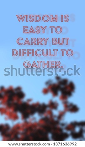 Inspirational motivation quote on the tree and sky background. "Wisdom is easy to carry but difficult to gather."