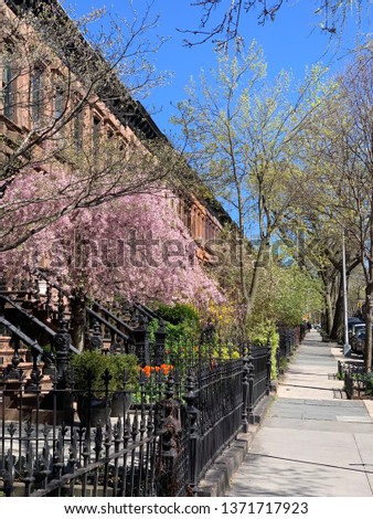 Park Slope, Brooklyn, New York City, USA