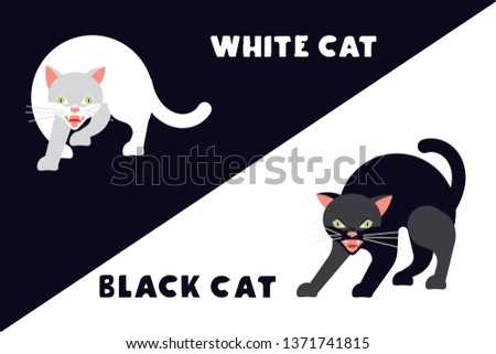 Frightened black and white kittens arch their back and hiss. Funny monochrome cats isolated suitable for cards, t-shirts and other. Flat Art Vector illustration