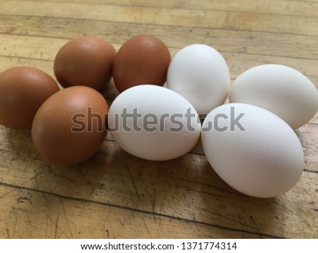 Egg on brown wood background
