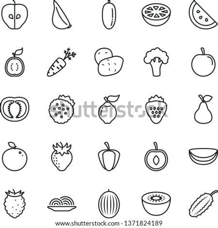 thin line vector icon set - onion vector, garlic, strawberry, strawberries, pear, orange slice, quince, tasty apple, raspberry, melon, date fruit, plum, half cherry, kiwi, delicious, of guawa