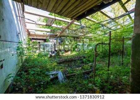 old abandoned farmhouse interior in green summer bushes
