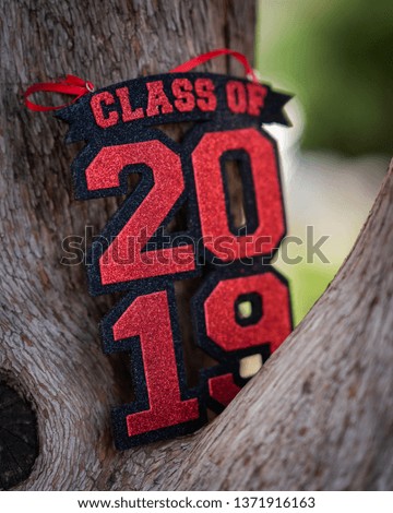 class of 2019 sign resting on a tree 