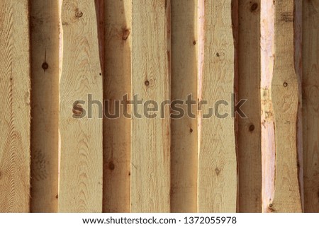 Background texture. New light wooden wall, illuminated by the sun