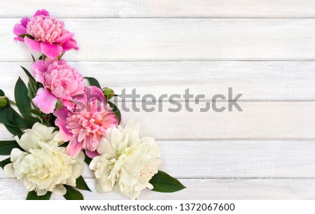Bouquet of pink and white peonies on background of white painted wooden planks with space for text. Top view, flat lay