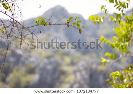 The image of the mountain with a picture frame as a leaf