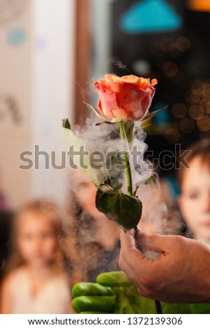 Frozen rose in liquid nitrogen - Children birthday decoration party for kids