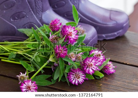 Bouquet of clover and rubber boots. Summer rain.