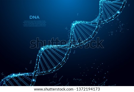 DNA. Abstract 3d polygonal wireframe DNA molecule. Medical science, genetic biotechnology, chemistry biology, gene cell concept vector illustration or background. innovation technology concept Royalty-Free Stock Photo #1372194173