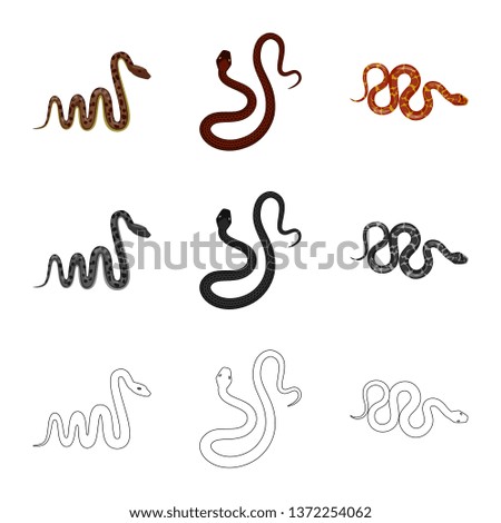 Isolated object of mammal and danger symbol. Set of mammal and medicine stock vector illustration.
