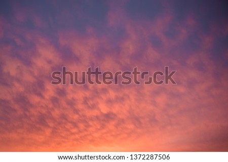 dawn,the sky is painted with bright colors, orange, pink,canary islands, spain,